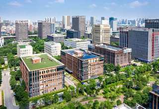 眉山果岭草草坪要多少钱