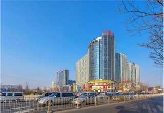 深圳硅胶铂金硫化剂