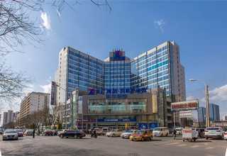 上海酒店绿植租赁行业